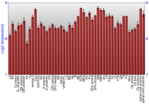 Multi-state expression graph