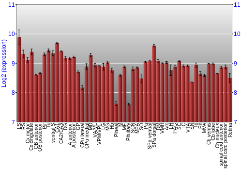 Expression graph