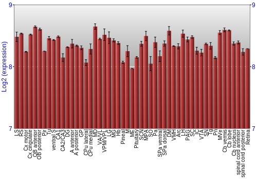 Expression graph