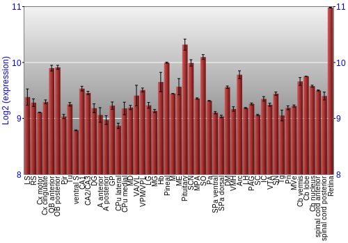 Expression graph