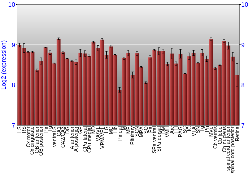 Expression graph