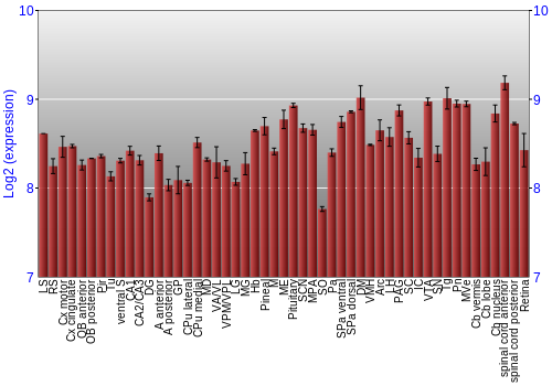 Expression graph