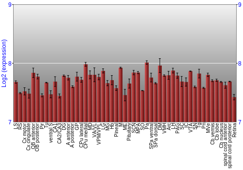 Expression graph