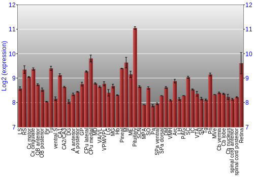 Expression graph