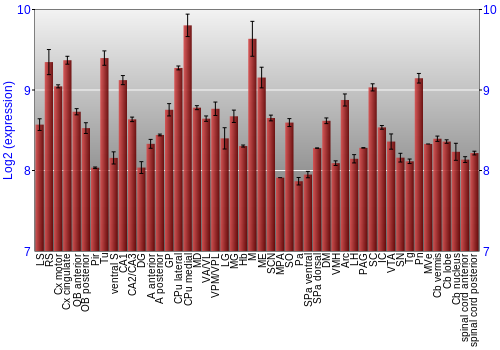 Multi-state expression graph