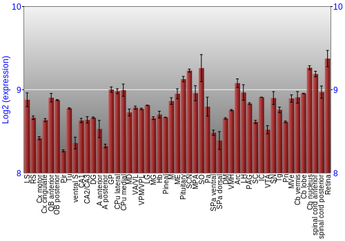 Expression graph