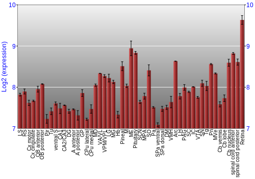 Expression graph