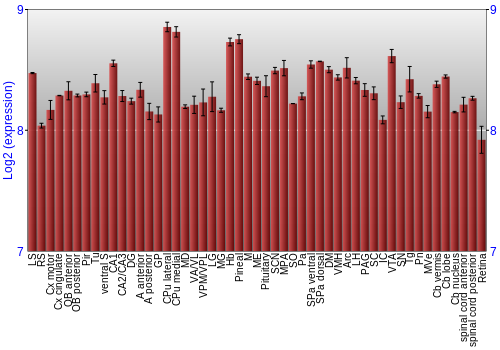 Expression graph
