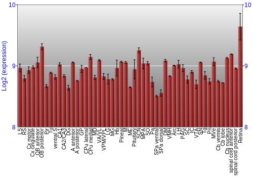 Expression graph