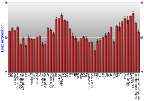 Multi-state expression graph