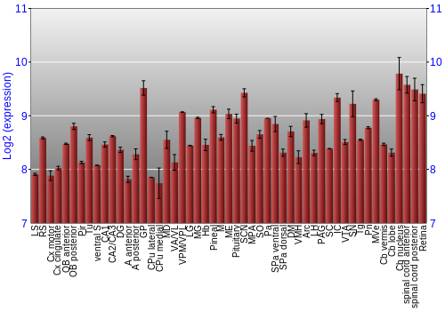 Expression graph