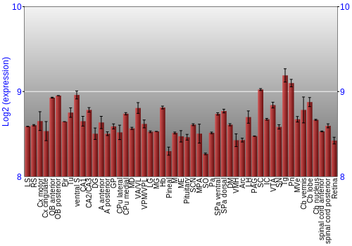 Expression graph