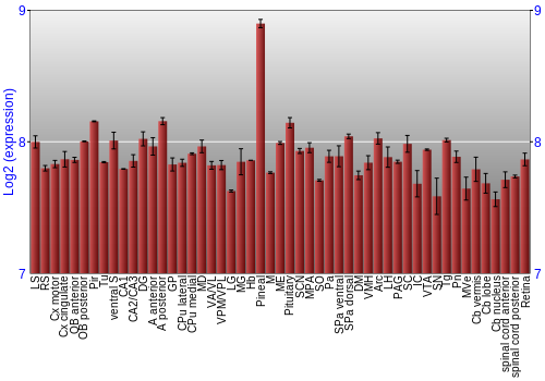 Expression graph