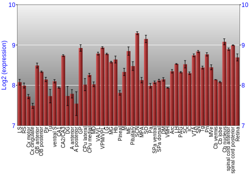 Expression graph