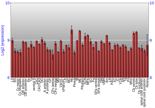 Expression graph