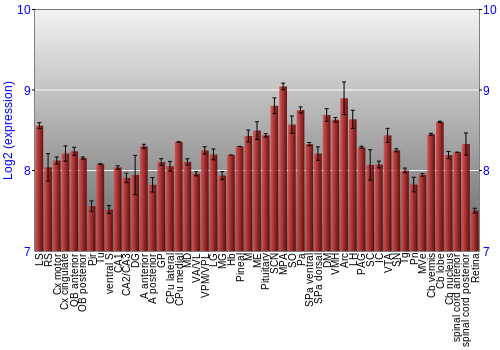 Expression graph