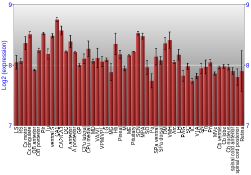 Expression graph