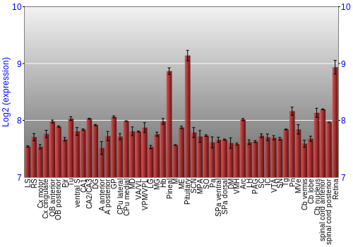 Expression graph
