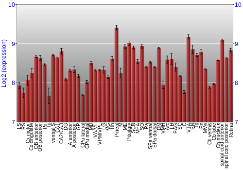 Expression graph