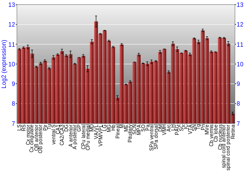 Expression graph