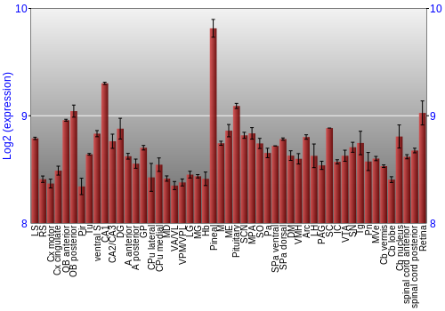 Expression graph