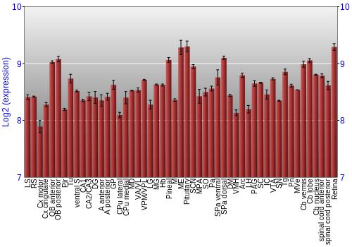 Expression graph