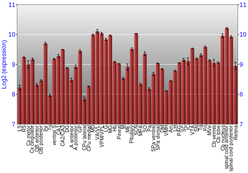 Expression graph