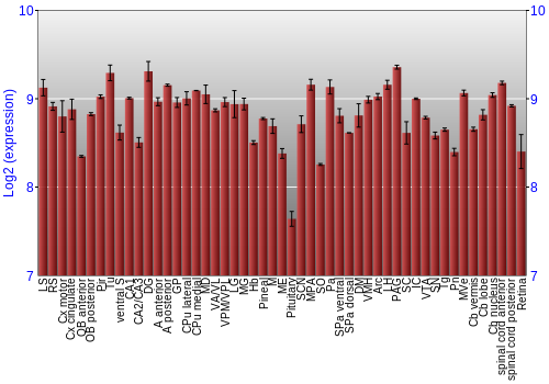 Expression graph