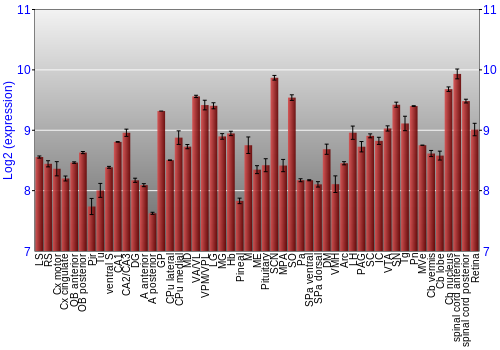 Expression graph