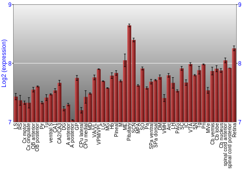 Expression graph