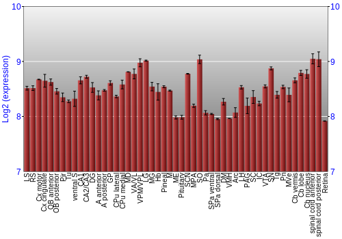 Expression graph