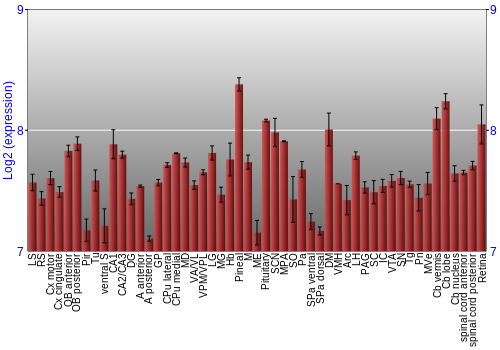 Expression graph