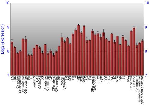 Multi-state expression graph