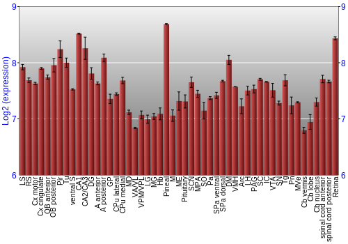 Expression graph