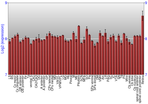 Expression graph