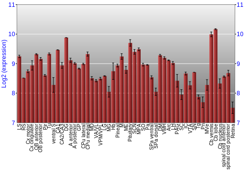 Expression graph