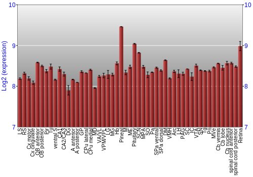 Expression graph