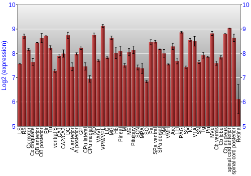 Expression graph
