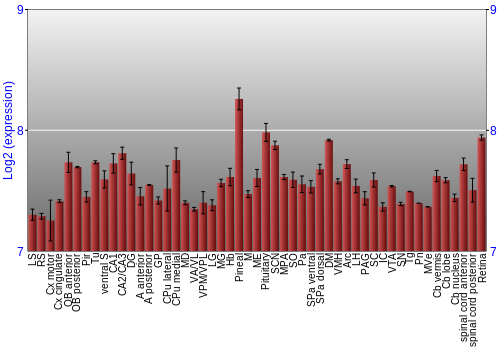 Expression graph