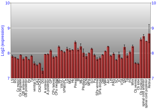 Expression graph