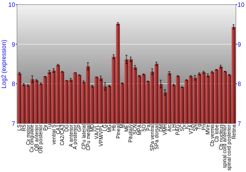 Expression graph