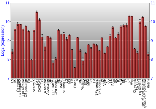 Expression graph