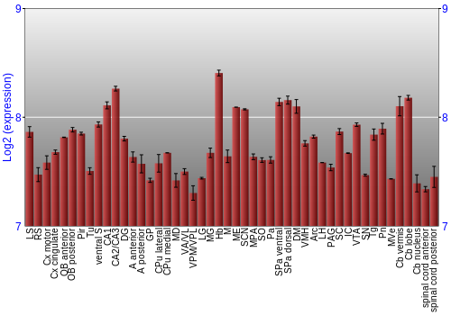 Multi-state expression graph