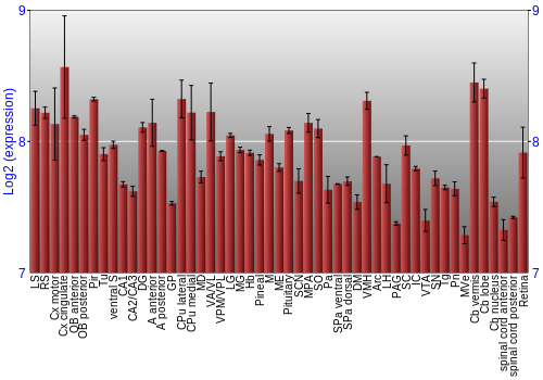 Expression graph
