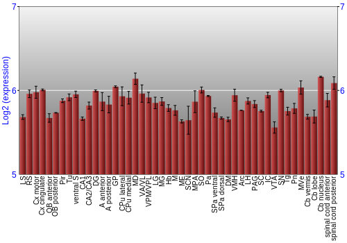 Multi-state expression graph
