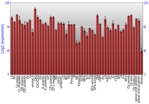 Expression graph