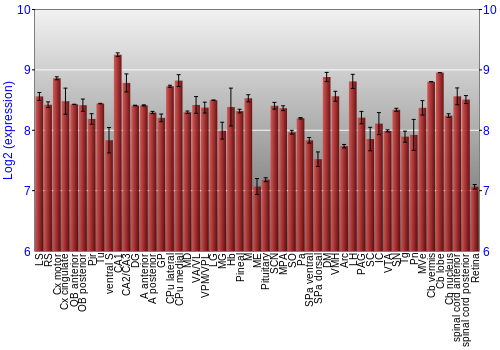 Expression graph