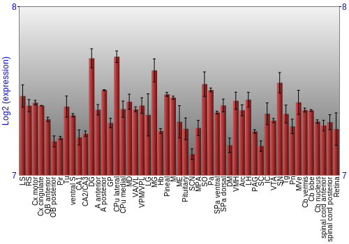 Expression graph