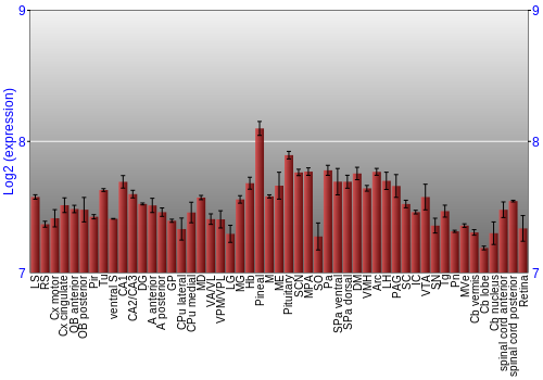 Expression graph