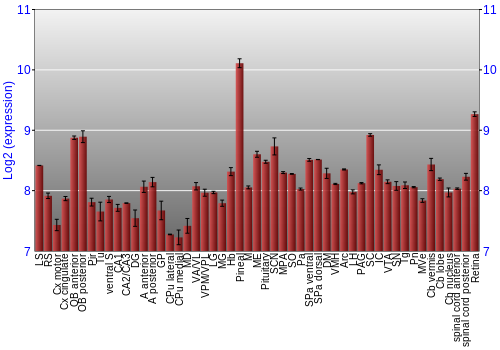 Expression graph